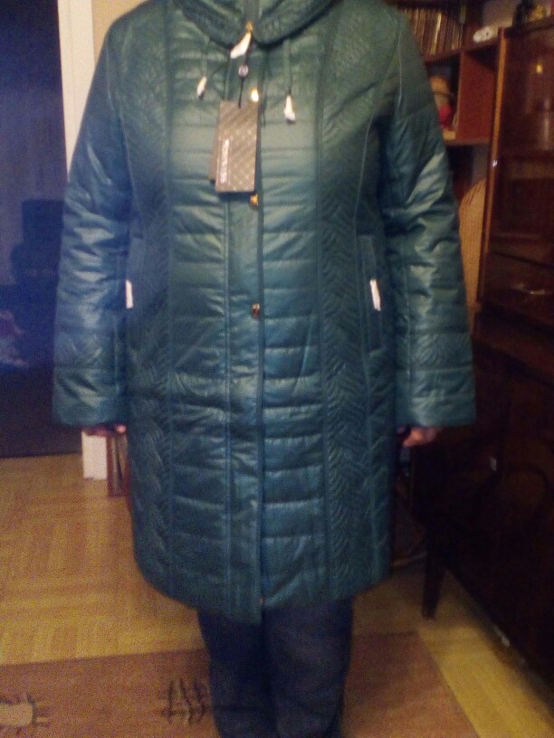 Decently 2015 New women winter coat Cotton Fashion Short Slim Warm Pocket Zipper Hooded Free Shipping MC-5B7475