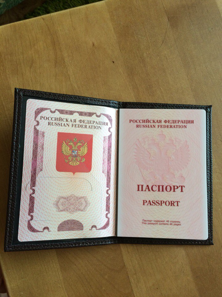 ZS standard business style  passport  holder with litchi grain soft sponge artificial leather international passport cover