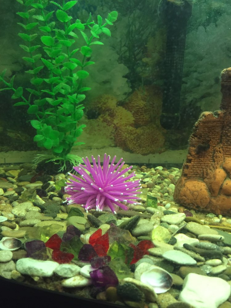 Silicone Aquarium Fish Tank Artificial Coral Plant Underwater Ornament Decor