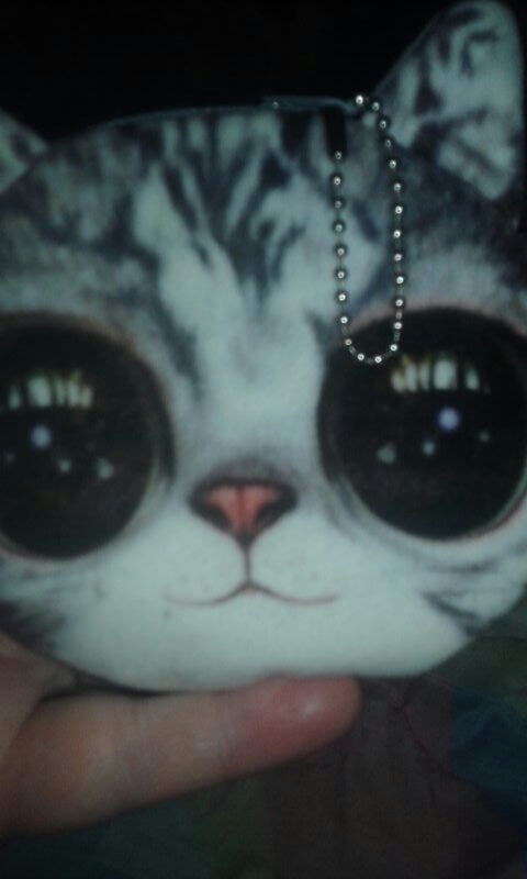 New Cute Cat Face Zipper Case Coin Purse female Wallet / child purse Makeup Buggy Bag Pouch cat man 