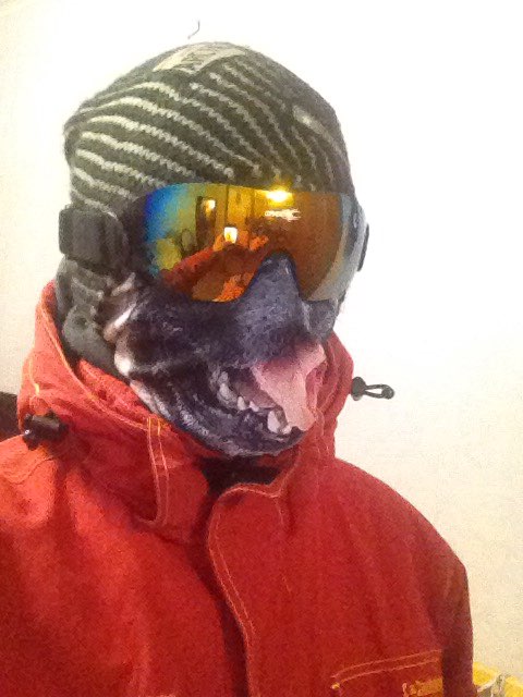 Ski Eyewear Snow Cycling Goggles Dustproof  Anti Fog Skiing Sunglasses Windproof  UV400 Protection Brand New Outdoor Sports Lens