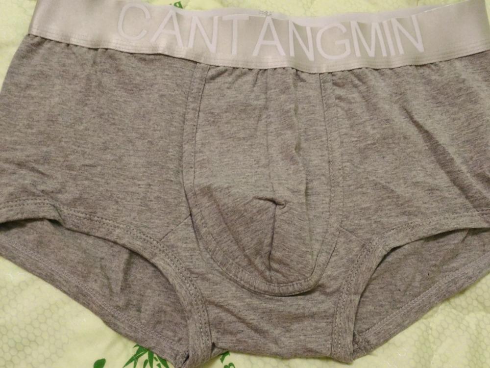 CANTANGMIN brand mens panties advanced fabrics cotton male underwear U convex sexy boxers pants silver edge trunk shorts man