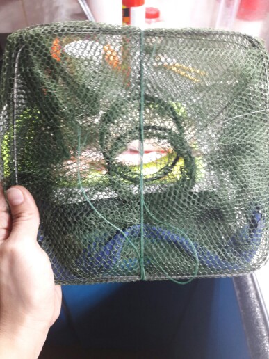Hot Crab Foldable Fish Net Crawdad Shrimp Minnow Bait Trap Cast Dip Nylon Fishing Net Cage Free Shipping