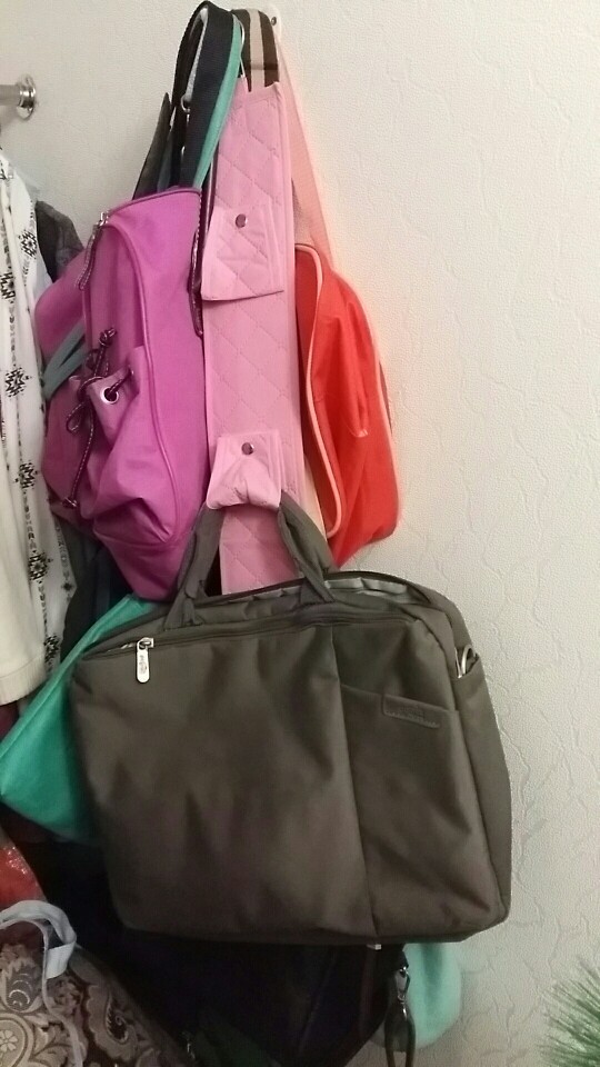 Handbag Organizer Handbag Holder Hook Wardrobe Hook Handbag Collecting Hook Home Storage Holder (5 hook)