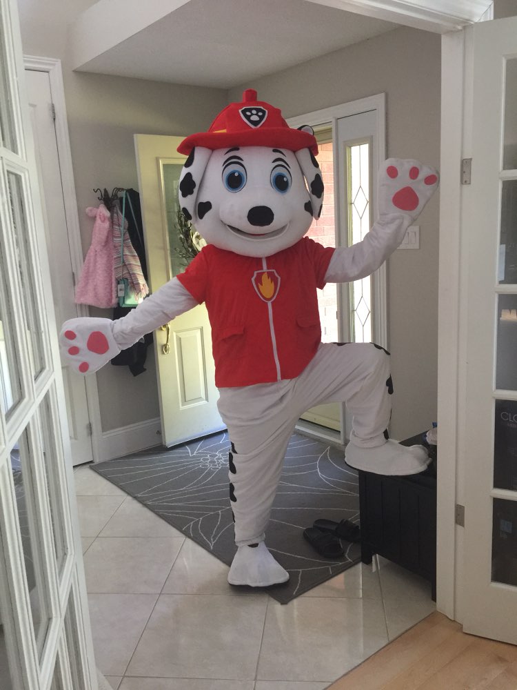 High quality 2016 New Arrival Adult Minions Dog Mascot Costume Fancy Dress Suit Cartoon Mascot Chase the mascot costume