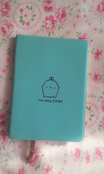 2017 2018 Calendar Kawaii Molang Rabbit Journal Notebook Diary Planner Notepad for Kids School Gift Korean Cute Stationery