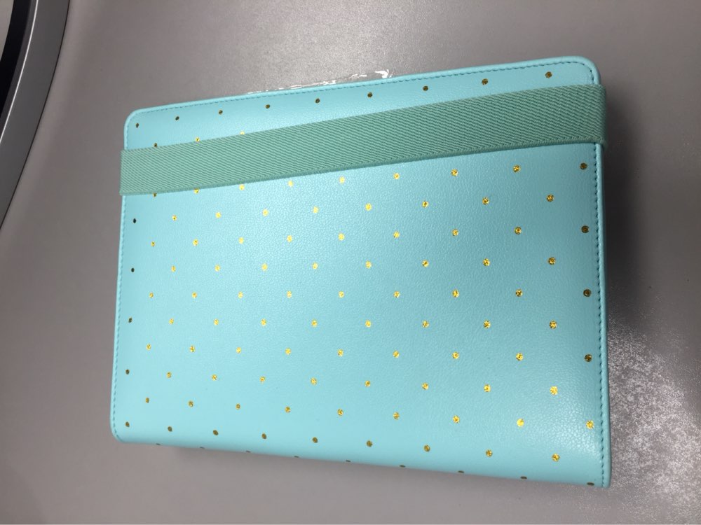 BW 2017 Notebook Mint A5 A6 Refill Filofax Spiral Time Planner Cute Diy Creative Elastic Agenda Kawaii Hobonichi Office Supplies