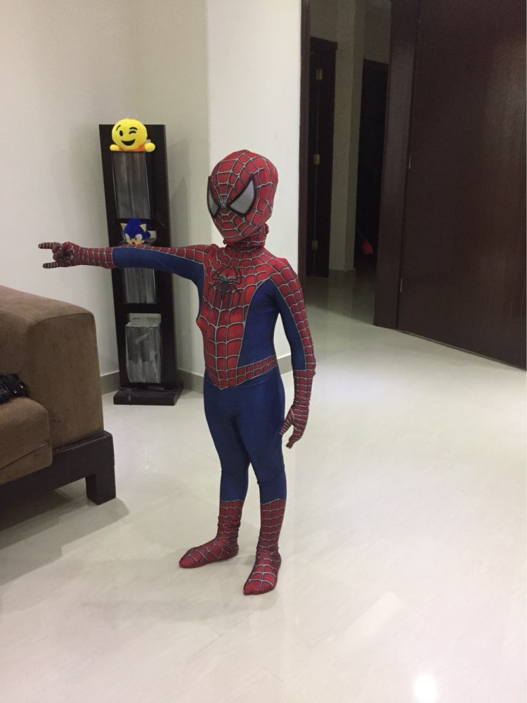 Free Shipping Raimi Spiderman Costume 3D Printed Kids/Adult Lycra Spandex Spider-man Costume For Halloween Fullbody Zentai Suit