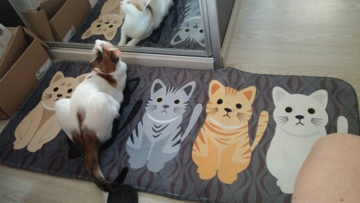 New Kawaii Welcome Floor Mats Animal Cute Cat Print Bathroom Kitchen Carpets House Doormats for Living Room Anti-Slip Tapete Rug
