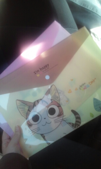Cute Cheese Cat PVC A4 File Folder Document Filing Bag Stationery Bag