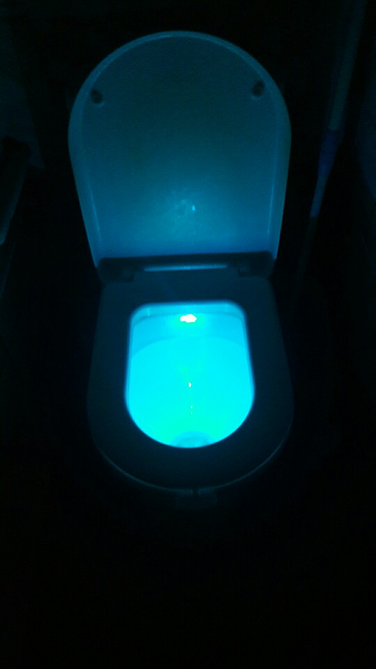 Motion Activated Toilet Night light  Bowl Bathroom LED Emergency Light 8 Color Lamp sensor lights