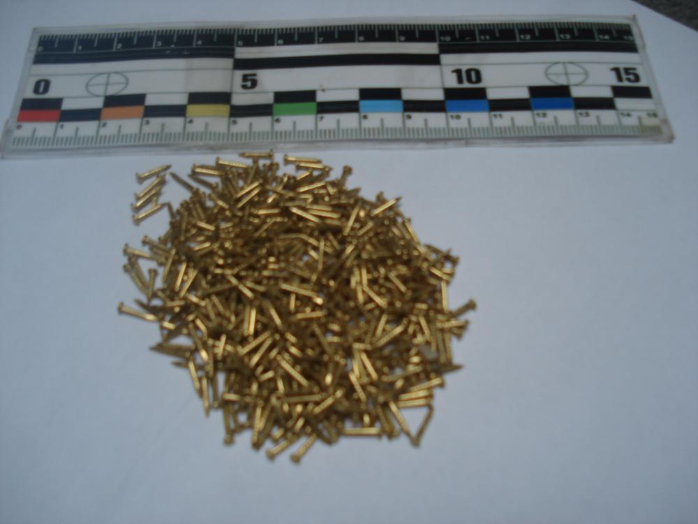 Free Shipping 500pcs Golden drum nail Fit Hinges Flat Round Head Phillips Cusp Fasteners Hardware 8x2mm J3223