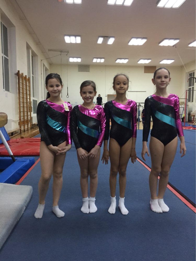 Toddler Girls Ballet Dress Long Sleeves Athletic Dance Leotards Dress Ballet Gymnastics Leotards Acrobatics for Kids Dance Wear