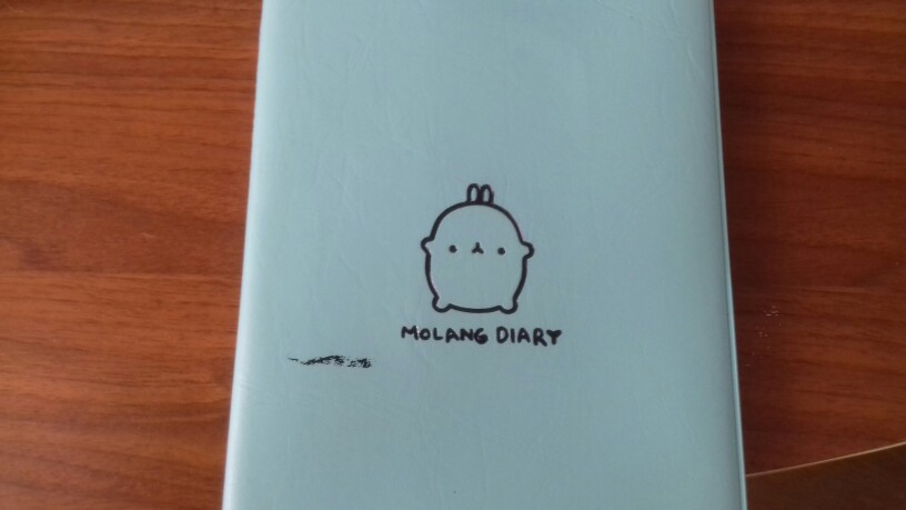 2017-2018 Cute Kawaii Notebook Cartoon Molang Rabbit Journal Diary Planner Notepad For Kids Gift Korean Stationery