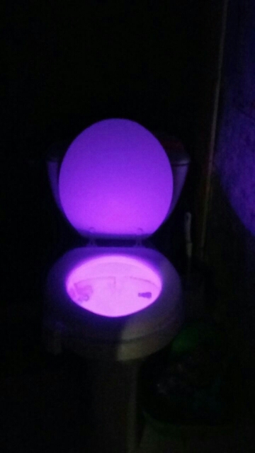  NEW 1pcs Motion Activated Toilet Nightlight Only activates in darkness  Christmas decorations