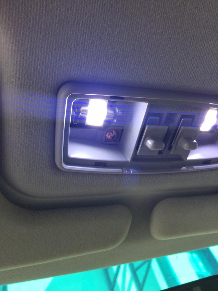 Car styling 31mm/36mm/39mm 12V Festoon LED Car Bulb Parking CANBUS C5W COB LED SIZE Interior White SMD Bulb Reading lights