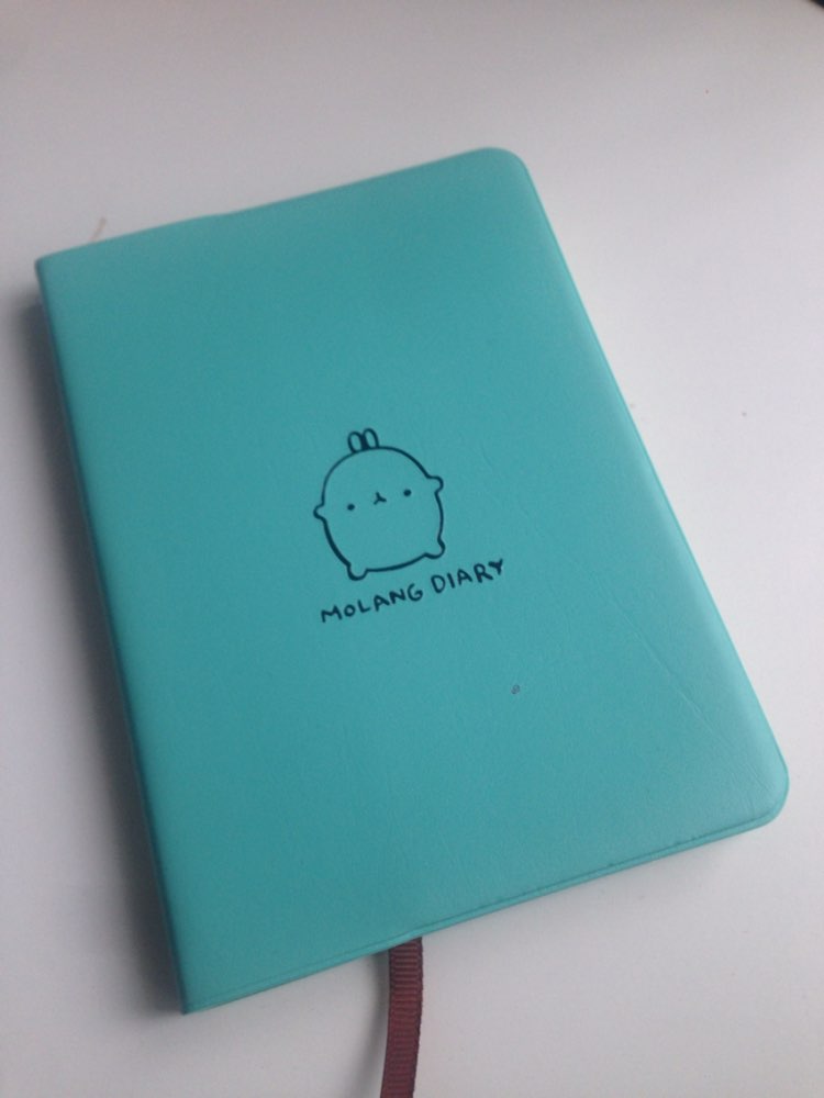 "Molang Rabbit" Planner Agenda Scheduler Cute Diary Any Year 2017 2018 Calendar Pocket Journal Kawaii Study Notebook Gift