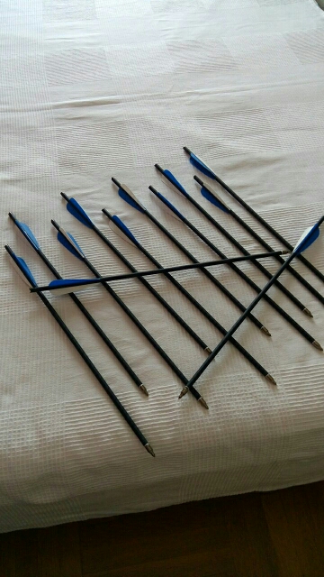 12pcs/lot  Hunting Archery Carbon Arrow 20" Crossbow Bolts Arrow With  4" vanes Feather and Replaced Arrowhead/Tip Free Shipping