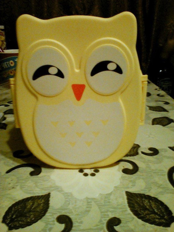 1050ml Cartoon Owl Lunch Box Food Fruit Storage Container Portable Bento Box Food-safe Food Picnic Container for Children Gifts