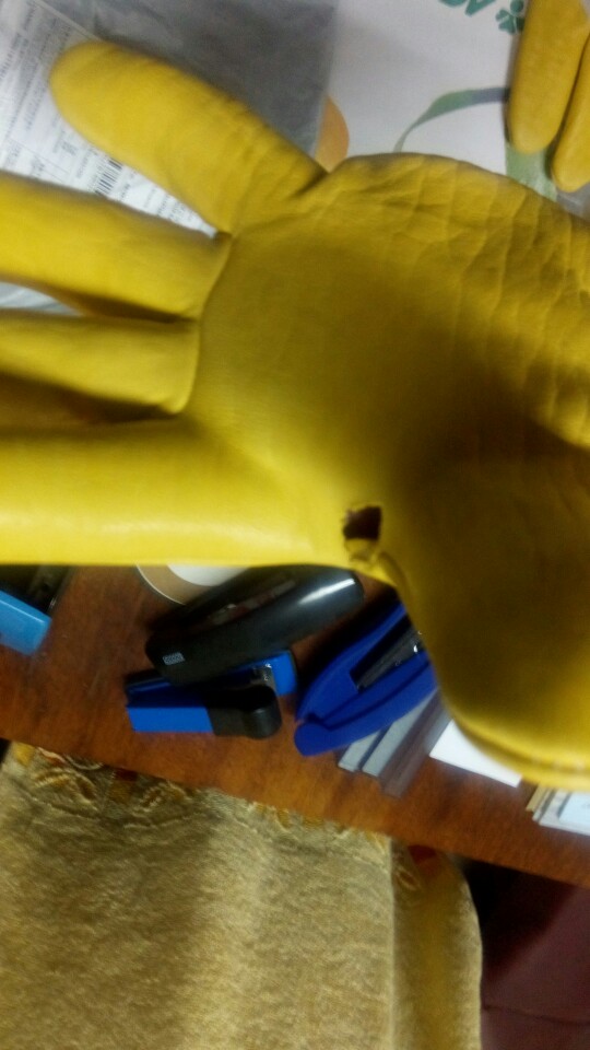 Protective Beekeeping Gloves Goatskin Bee Keeping with Vented Long Sleeves Yellow+White L Sheepskin Ventilation Fabric