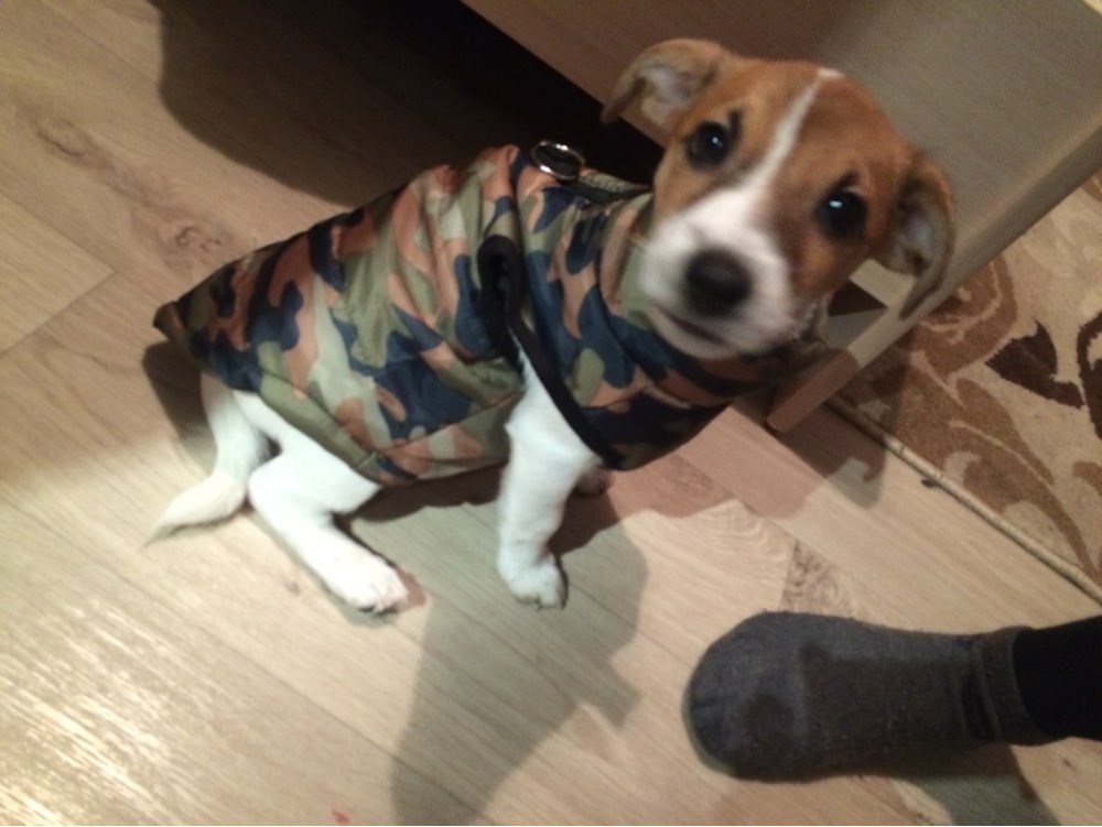 Winter Warm Pet Dog Clothes Vest Harness Puppy Coat Jacket Apparel 6 Color Large