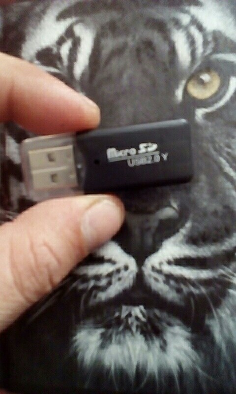 Adroit High Speed Mini Usb 2.0 Micro SD TF Memory Card Reader Adapter JAN5