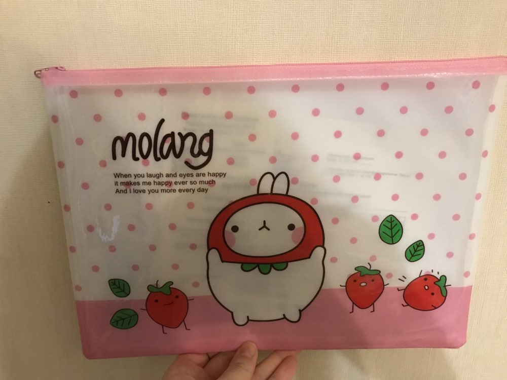 Cute Molang A5 B6 Mini File Bag Document Bag File Folder Stationery Filing Production School Office Supply