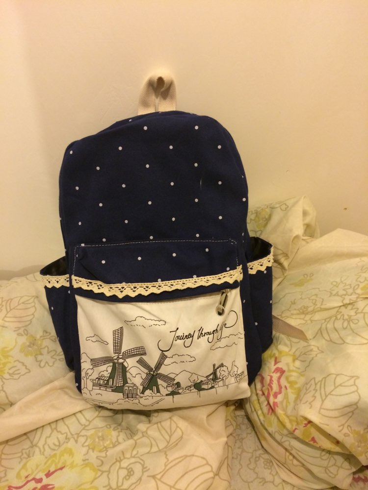 RoyaDong Women Printing Backpacks Set School Bags For Teenage Girls Canvas Dot Windmill Printing Lace Book Bag 2016