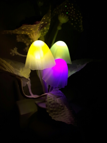 tape lamp flower baby Night Light New Romantic Colorful Dream  LED strip Light for Home Bedroom Decoration new year