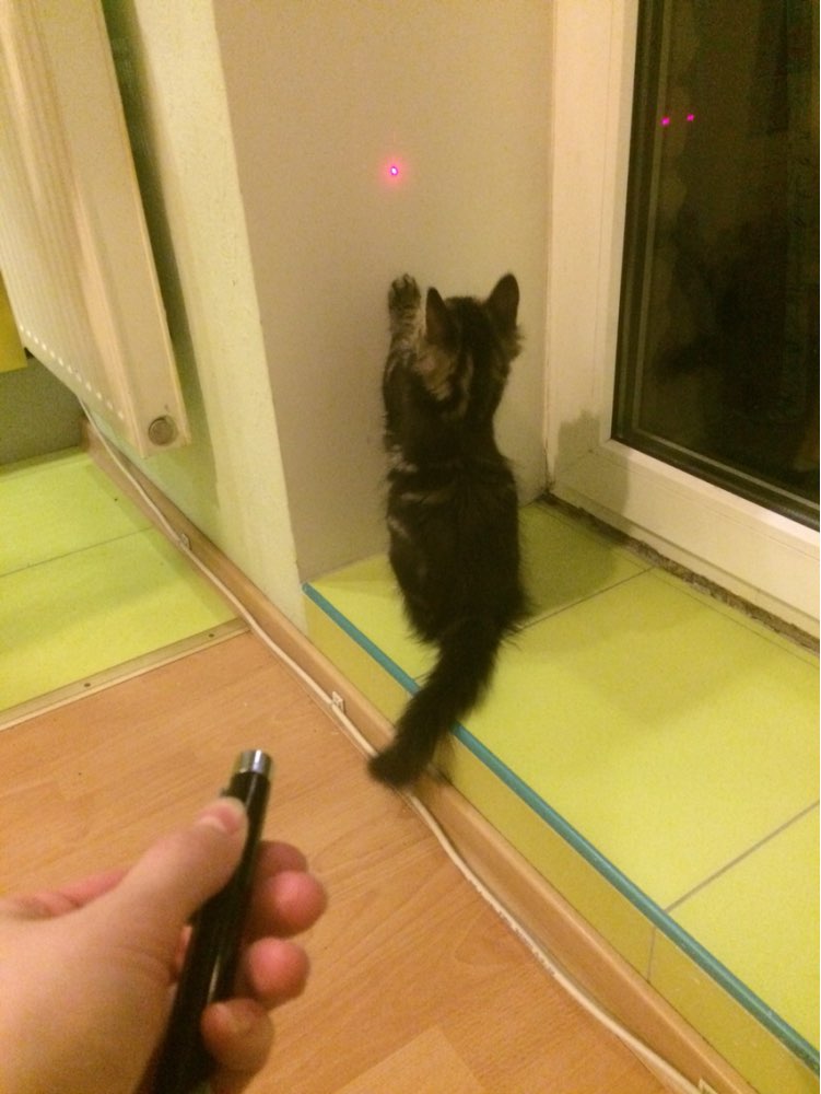Powerful Green Red Blue Laser Pointer Pen Beam Light 5mW Professional Military High Power Presenter lazer Hot Selling