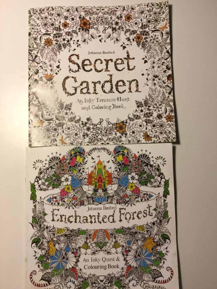 24 Pages Drawing Book Enchanted Forest English Edition Coloring Book For Childs Adult Relieve Stress Kill Time Painting