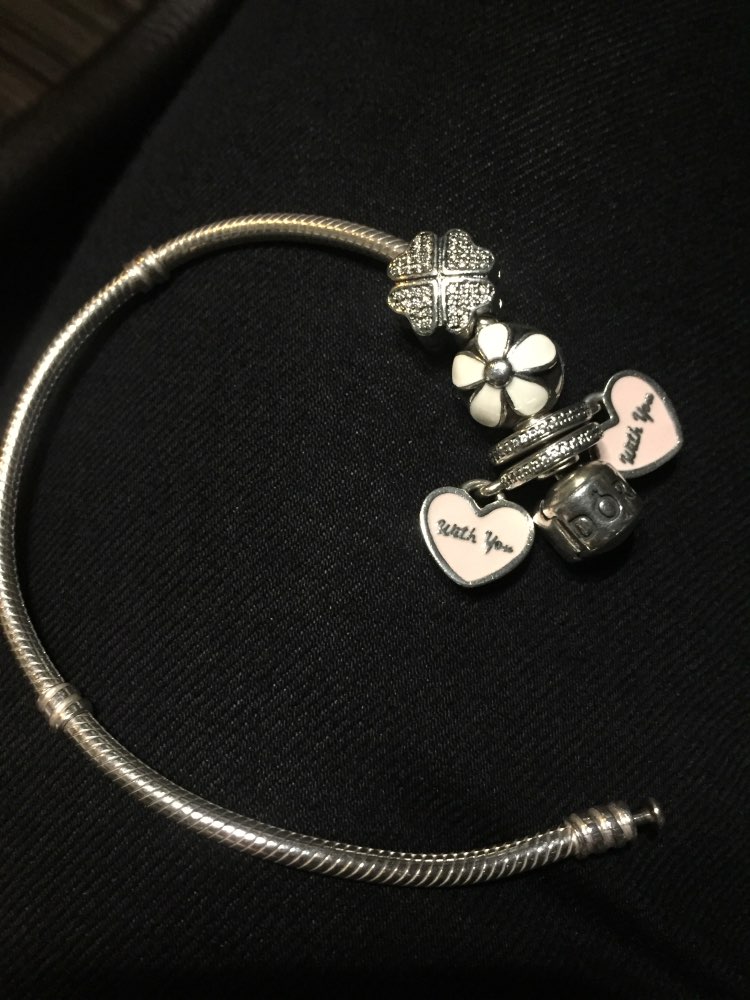 Fit Pandora Charm Original Bracelet Silver 925 2016 Autumn Winter DIY Berloque Enamel Poetic Bloom With Zircon Flower Heart Bead