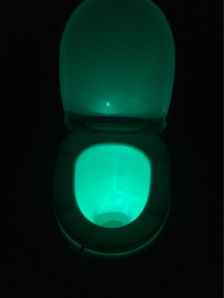 Motion Activated Toilet Nightlight