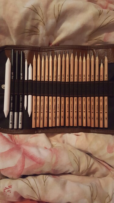 25Pcs Pencil Sketch Pencil Set ,Pencils Charcoal Earser Utility Knife Drawing Pencil With Canvas Bag