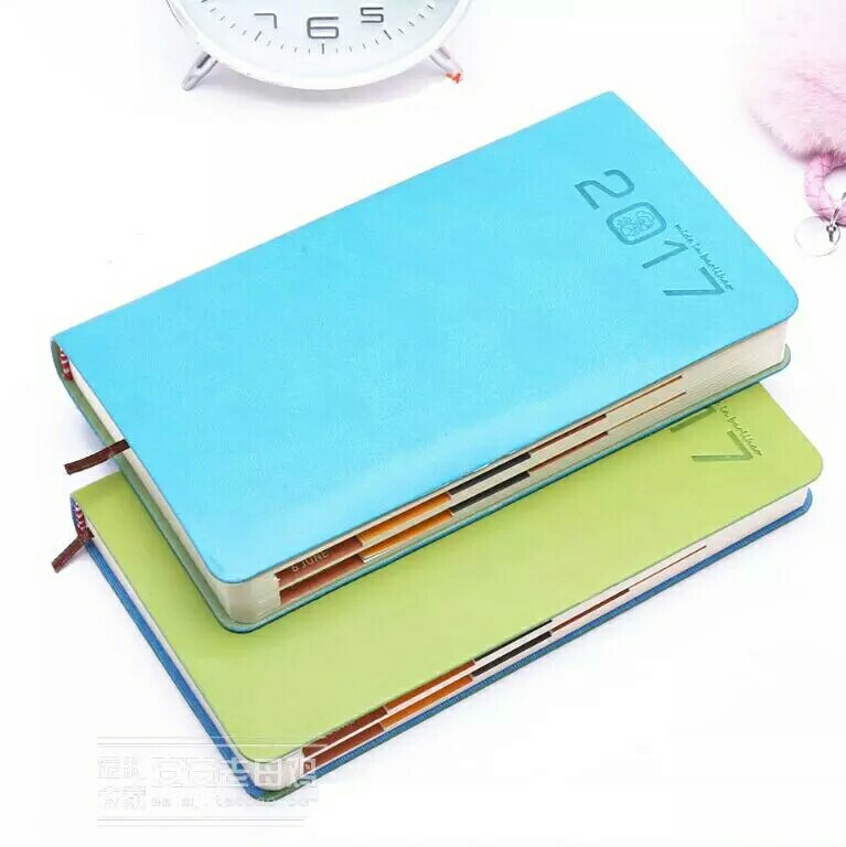 2017 Cute Kawaii Notebook Free Name EngravePlanner Agenda Pu Leather Cover Personal Diary Filofax School Sketchbook