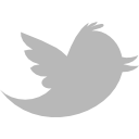 twitter-share-icon
